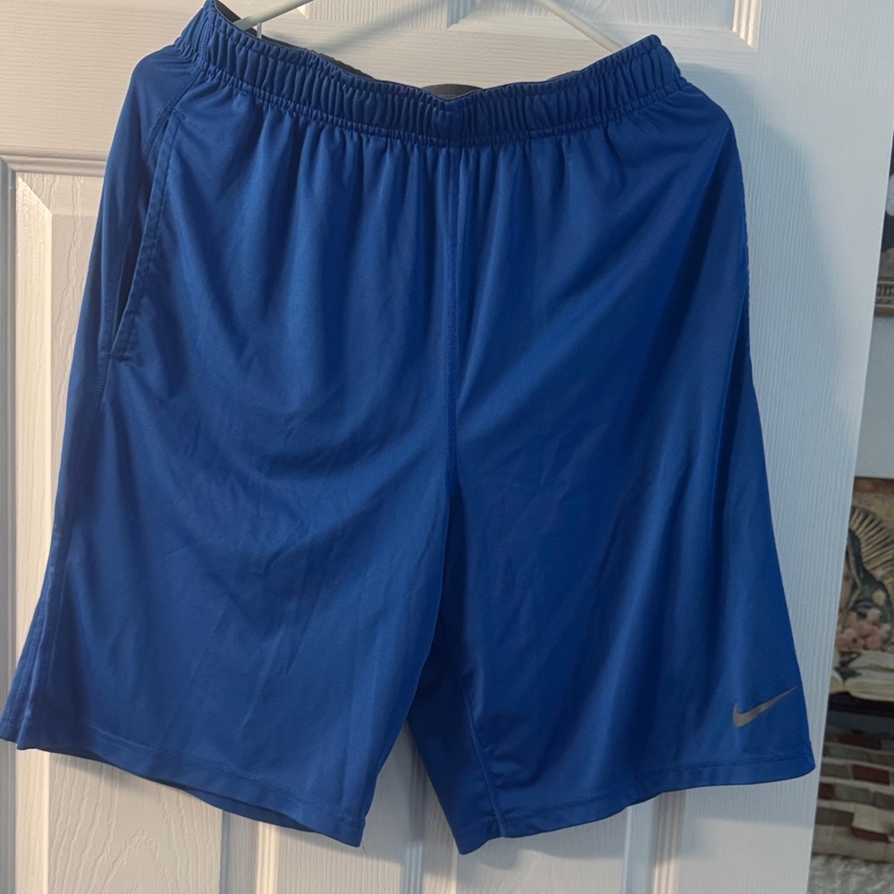 Nike Men's Royal Blue Sports Shorts